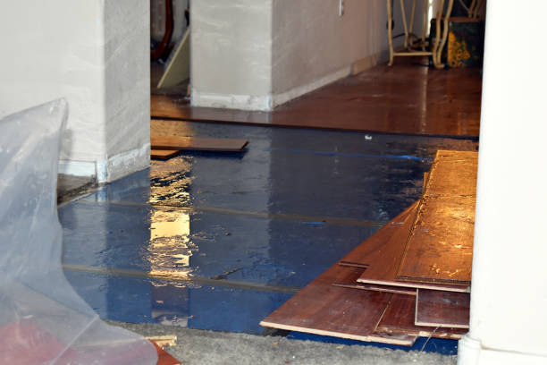 Professional Water Damage Restoration technician working in Bertram, TX